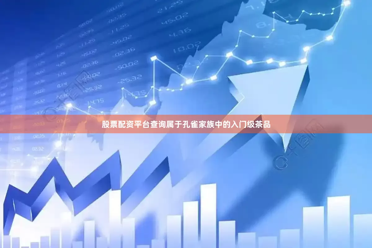 股票配资平台查询属于孔雀家族中的入门级茶品