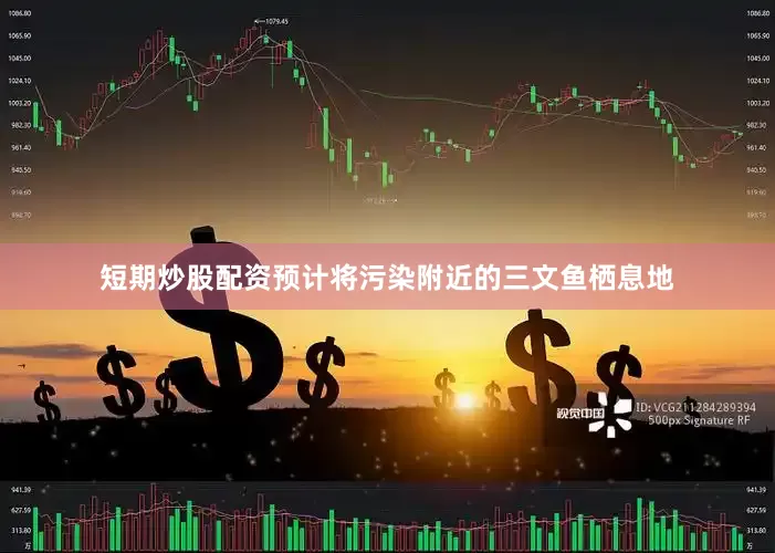 短期炒股配资预计将污染附近的三文鱼栖息地