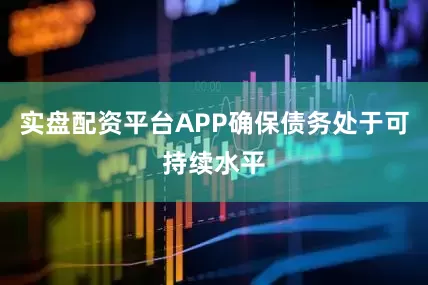 实盘配资平台APP确保债务处于可持续水平